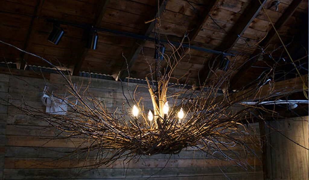 Branchelier