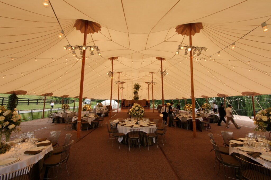 Bistro strings and stage lighting Bistro strings and stage lighting